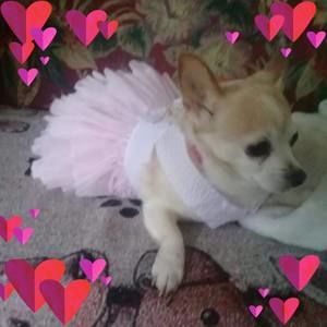 Meet your Posher, Beth